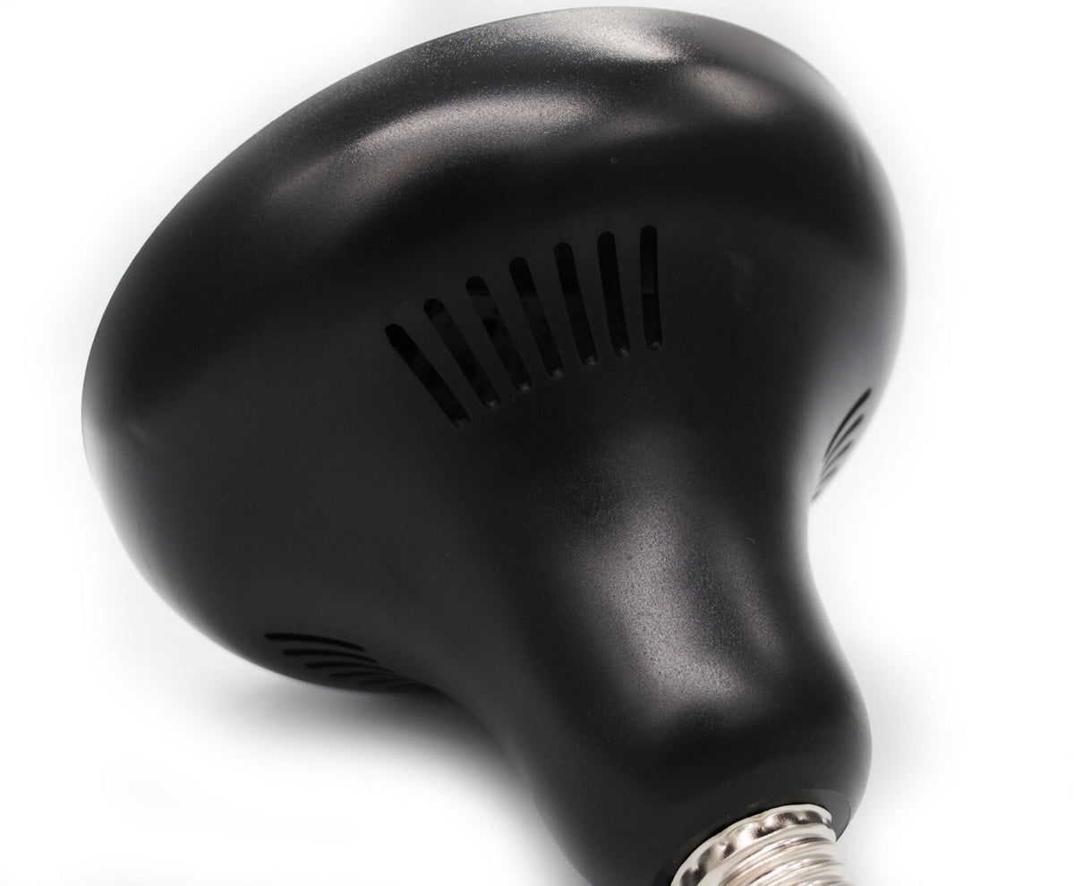 12V LED spa light bulb back