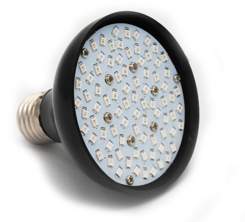 12V LED spa light bulb